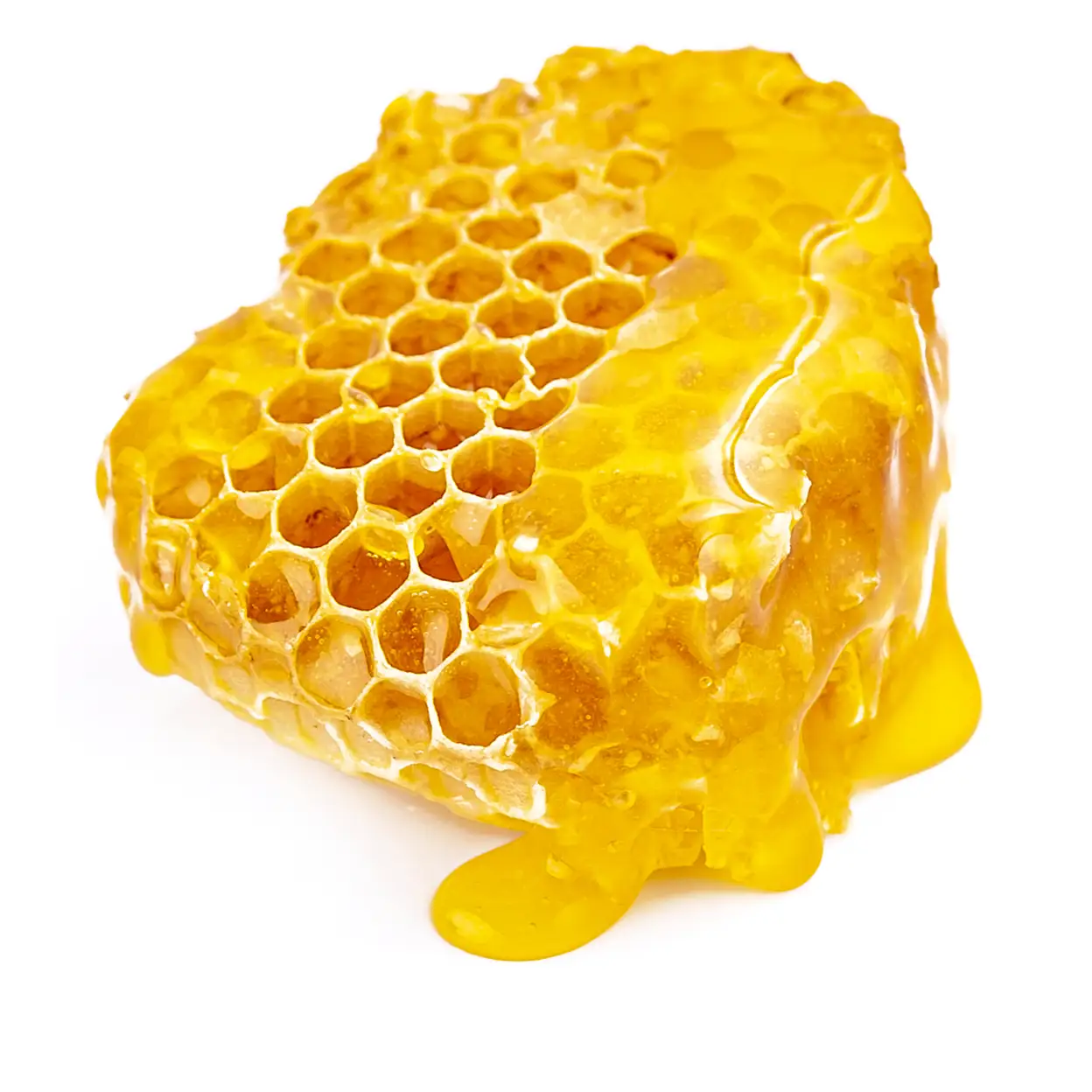 honeycomb honeycomb
